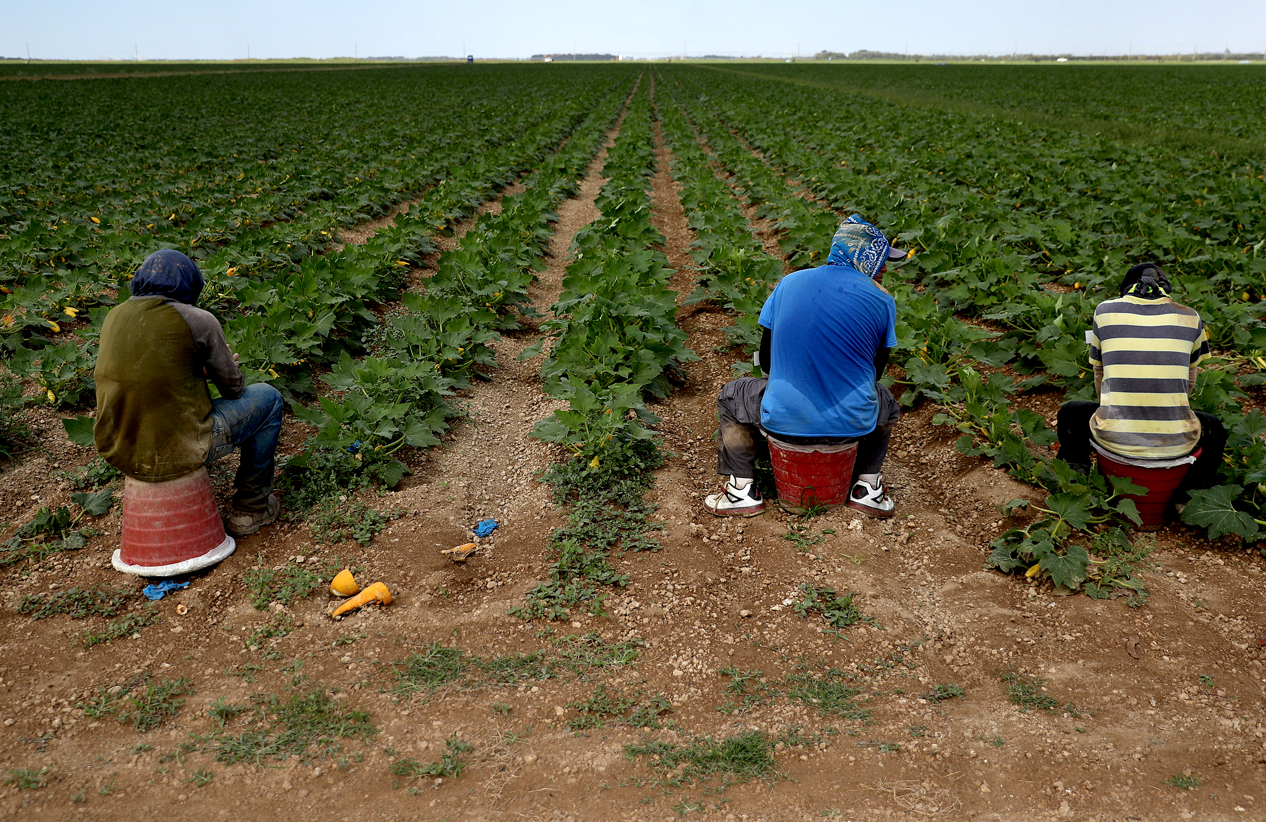 Measuring the Impact of the Migrant and Seasonal Agricultural Worker Protection Act (MSPA) on Farmers